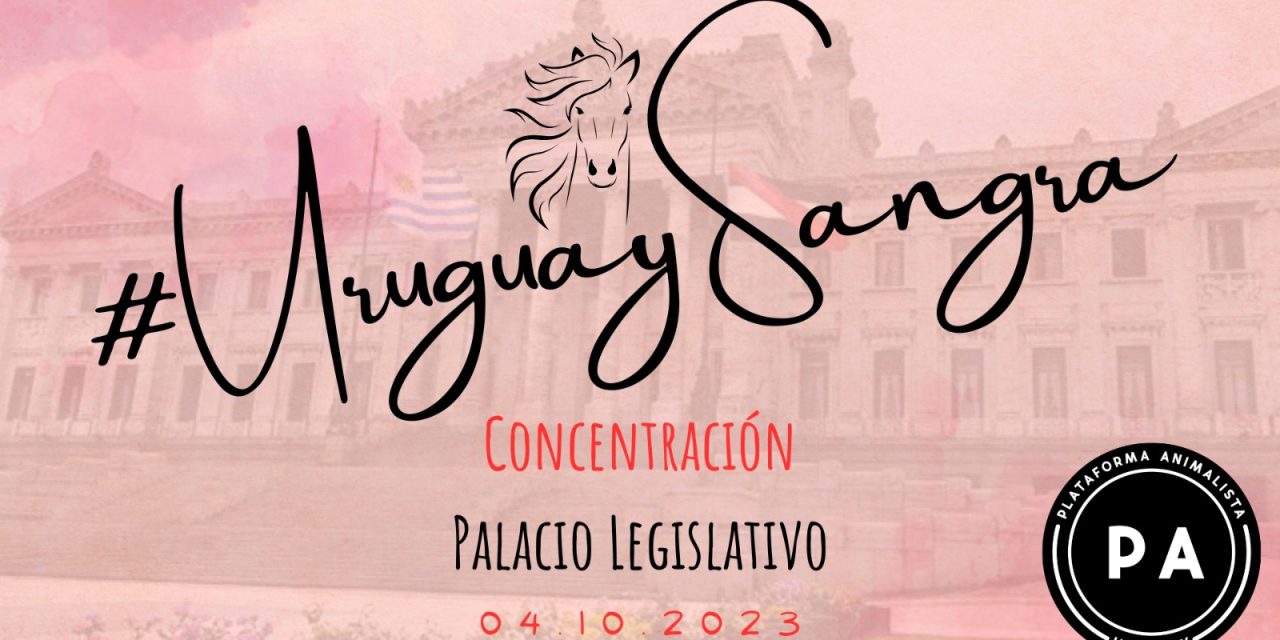 Día de los Animales: ¿Cuáles son los reclamos de Plataforma Animalista hacia el 4 de octubre?