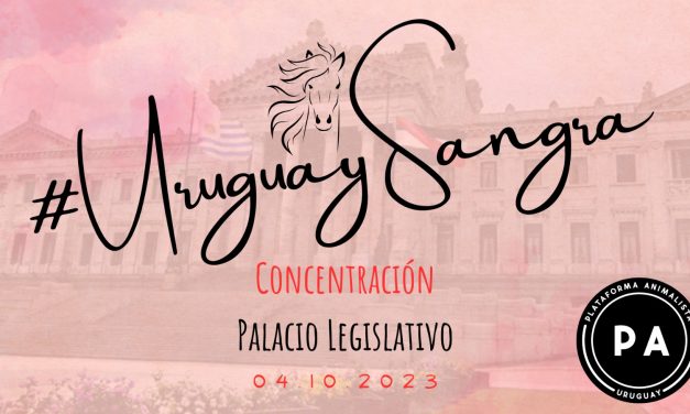 Día de los Animales: ¿Cuáles son los reclamos de Plataforma Animalista hacia el 4 de octubre?