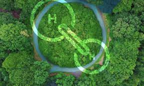 Hidrógeno verde: oportunidades y desafíos en América Latina y España