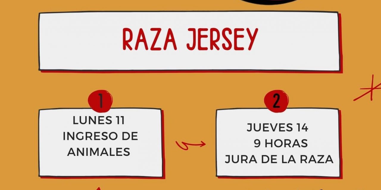 Sociedad de Criadores de Jersey: Actividades en Expo Prado
