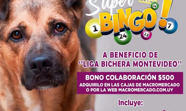 Bingo a beneficio de «la Liga Bichera Montevideo»