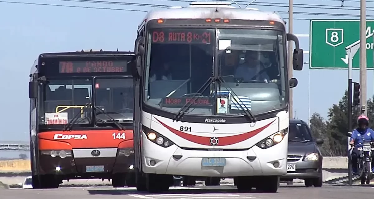 En 10 años bajó a la mitad el número de usuarios en el transporte suburbano