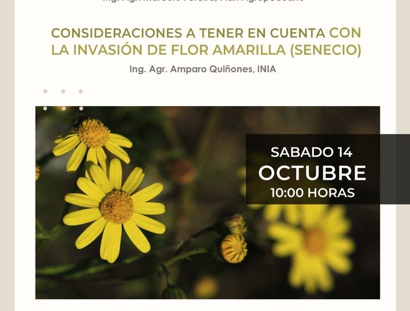 Expo Chiflero: Lecciones de la sequía y Consideraciones sobre la invasión de flor amarilla