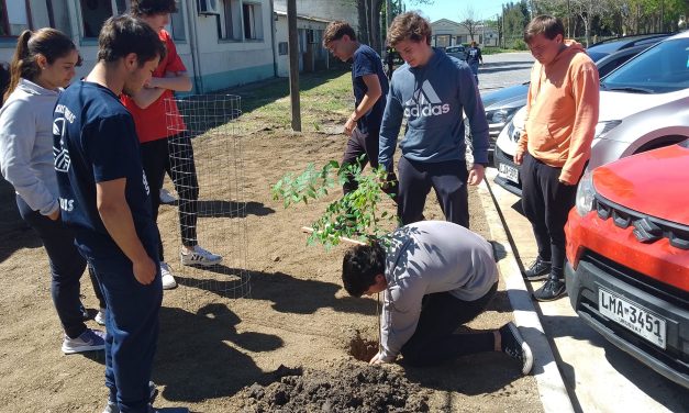 Plantación de árboles en Municipio de Ombúes de Lavalle