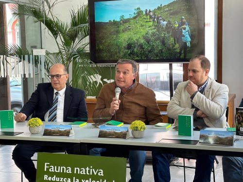 Ruta Nacional de las Sierras