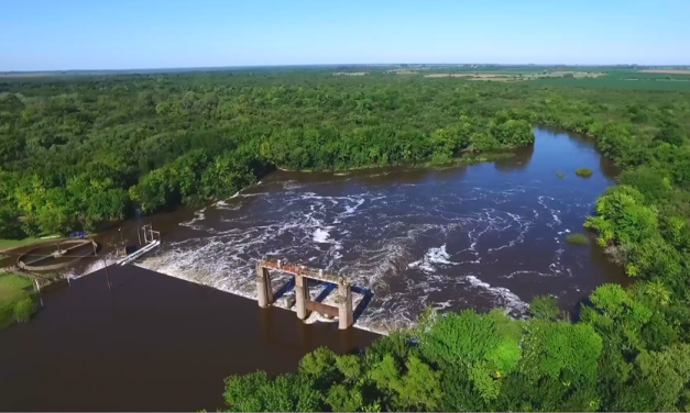FAO: La importancia del cuidado del agua y su impacto en la seguridad alimentaria