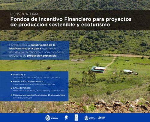 fondos para proyectos