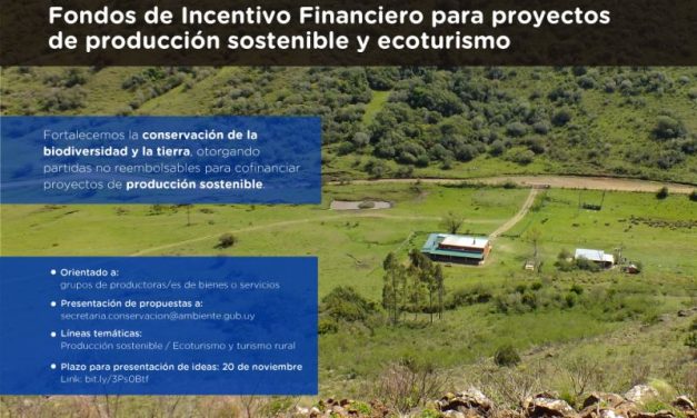 Convocatoria a organizaciones de productores/as de bienes o servicios para recibir incentivos financieros