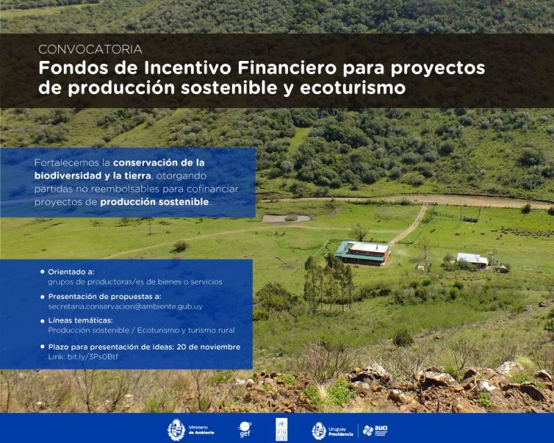 Convocatoria a organizaciones de productores/as de bienes o servicios para recibir incentivos financieros