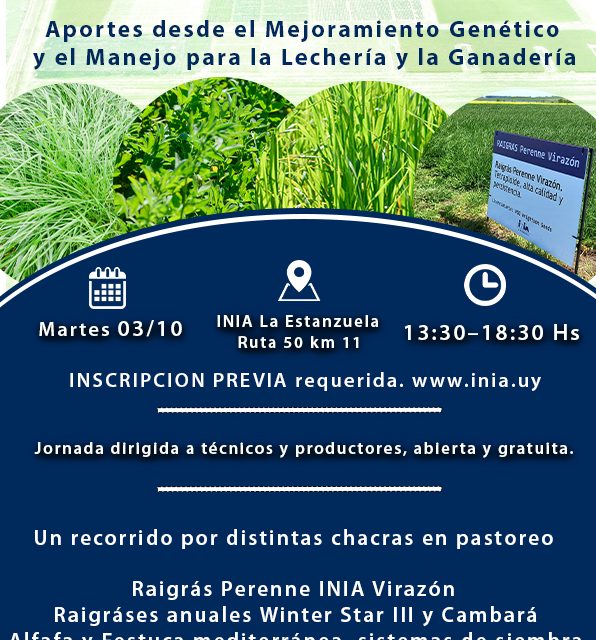 INIA: Jornada de Campo de Pasturas