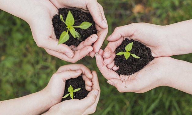 ANEP: V Seminario de Aprendizaje y Servicio Solidario Uruguay