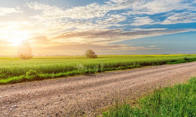 Terrenos en venta: opciones y consejos para invertir