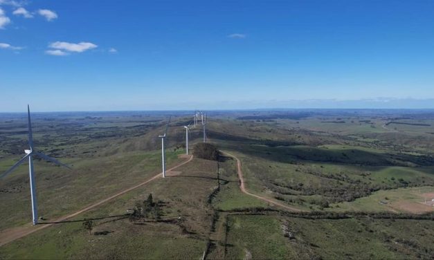 1ra. edición de la competencia Arbolito Trail
