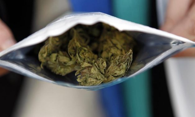 Diálogos sobre Políticas de Drogas: Regulación de cannabis en Uruguay