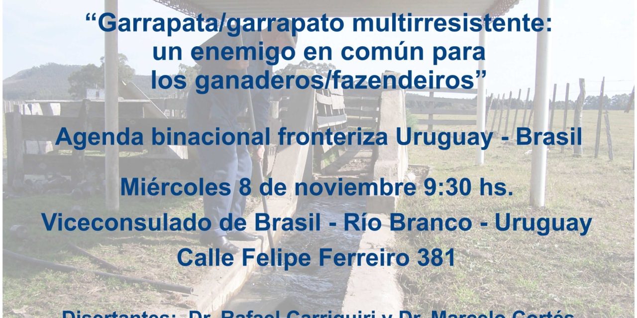 Agenda fronteriza Uruguay – Brasil analiza problemática de la garrapata para los ganaderos