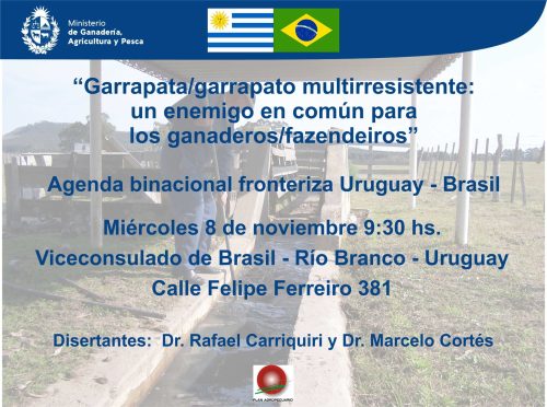 garrapata multirresistente