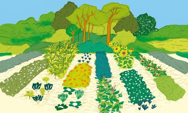 La Unión Europea financia tres nuevos proyectos en agroecología y biodiversidad en Uruguay