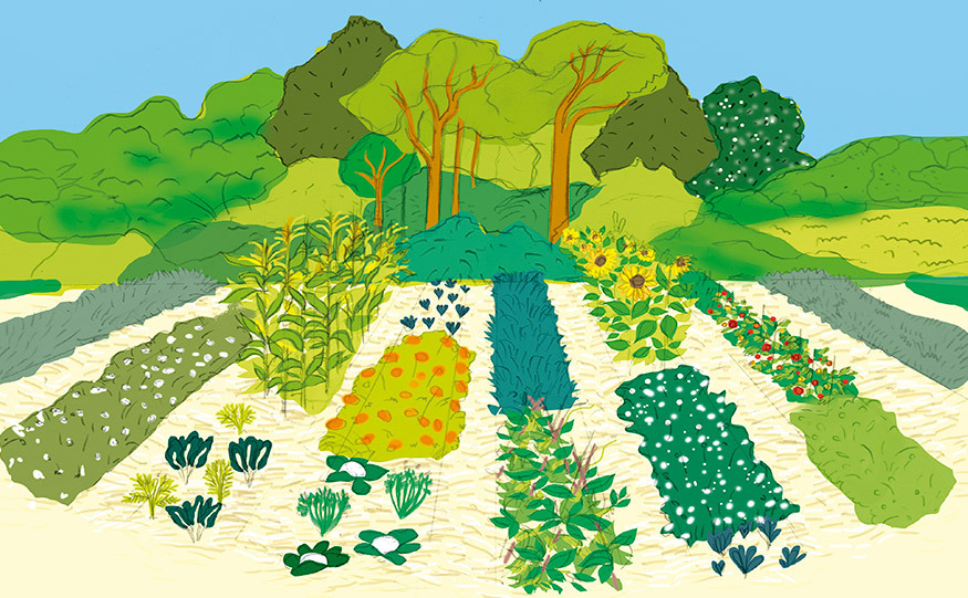 La Unión Europea financia tres nuevos proyectos en agroecología y biodiversidad en Uruguay