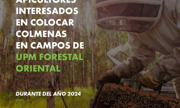 Nuevo llamado para apicultores interesados en colocar colmenas en campos de UPM 2024