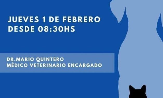 Pando: Castraciones Gratuitas para perros y gatos