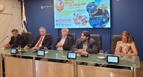 Fiesta del Pollo y la Gallina