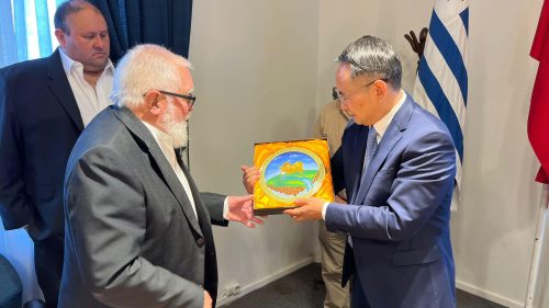 Placa de Salto a chinos