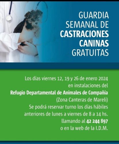 castraciones Maldonado