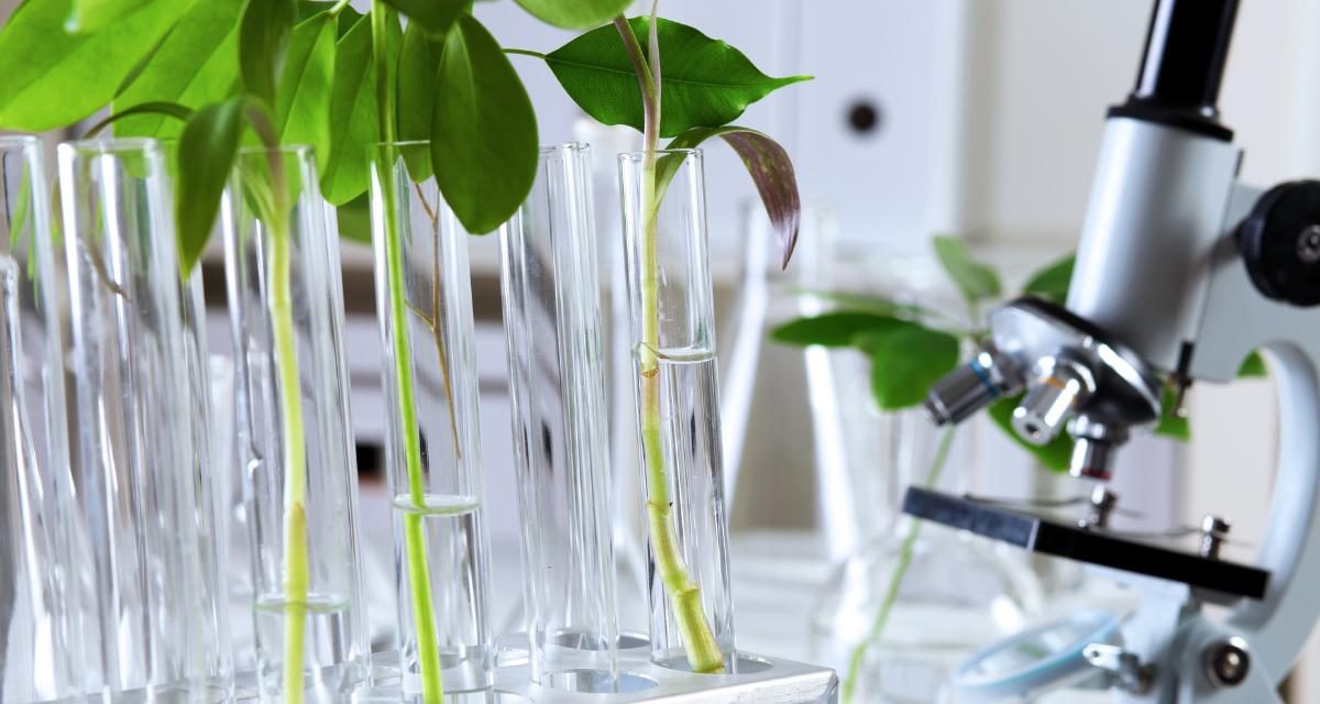 Eco-Biotecnología: Innovación Sostenible para un Futuro Saludable