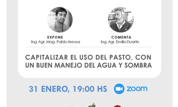 4° Taller virtual de actualización: Comunidad de Práctica Gestión del Pasto