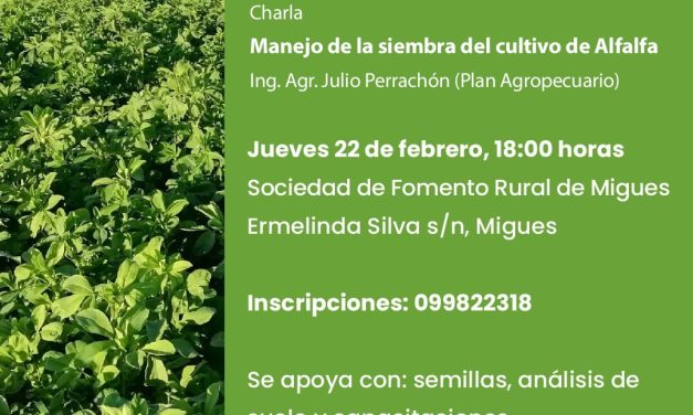 Convocatoria Plan Alfalfa 360: «Dominando todo el ciclo de producción»