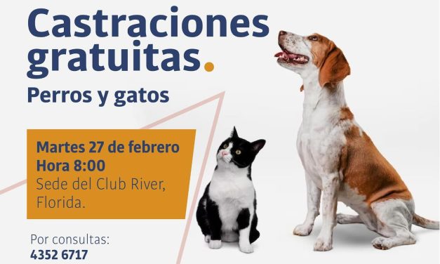 Castraciones gratuitas caninas y felinas: ¿cuándo y dónde?