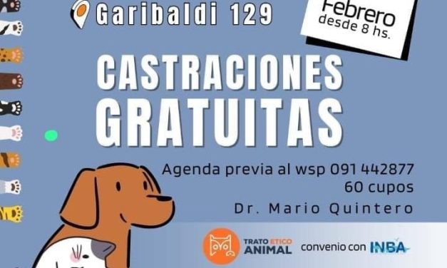 Castraciones gratuitas en La Paz