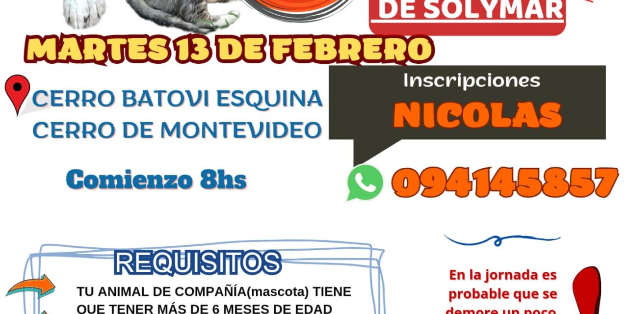 Castraciones gratuitas en Colinas de Solymar