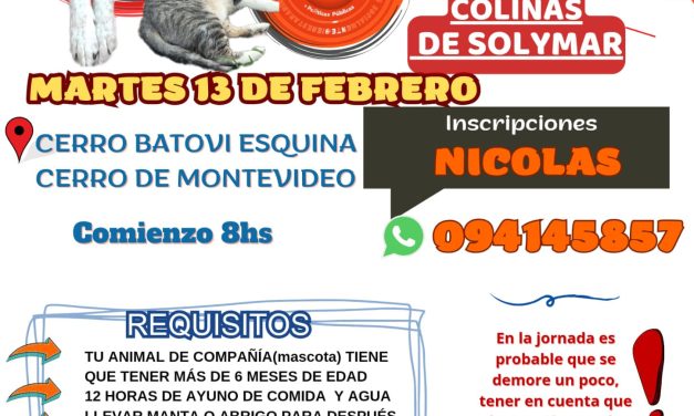 Castraciones gratuitas en Colinas de Solymar