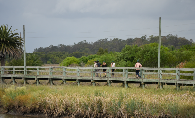IM celebra el Día Mundial de los Humedales