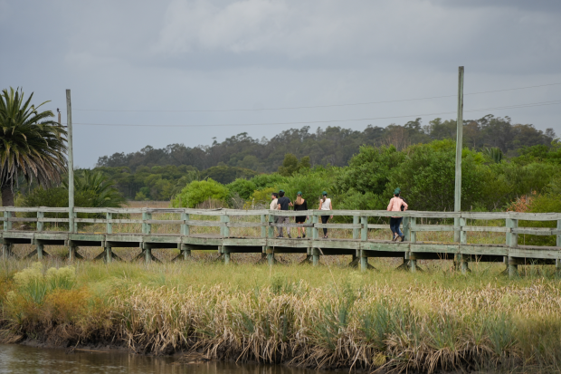IM celebra el Día Mundial de los Humedales