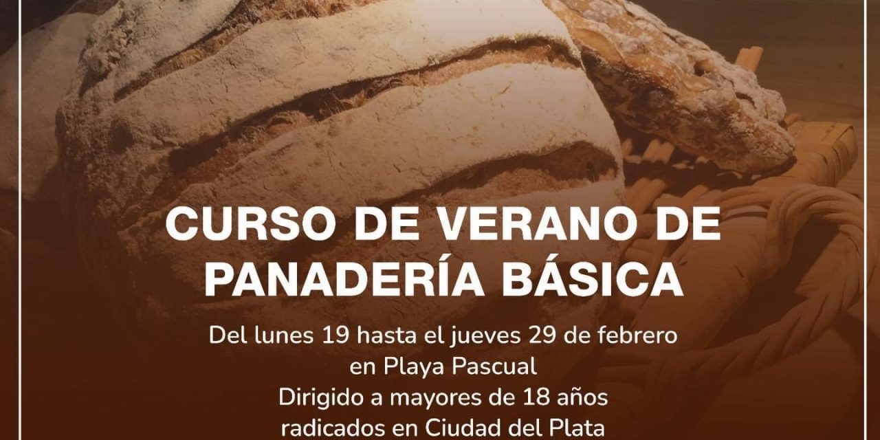 Curso de Verano de Panadería Básica: ¿dónde y cuándo?