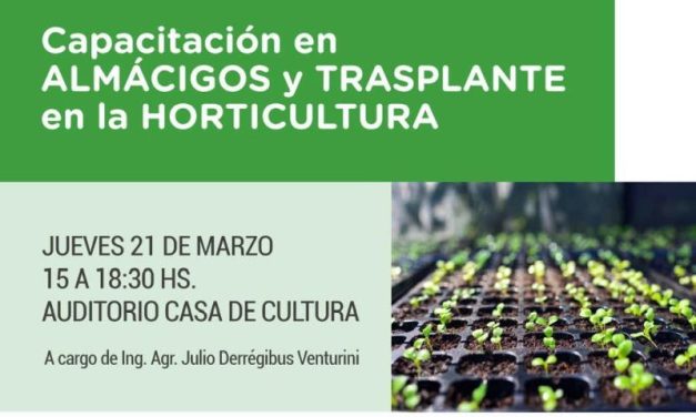 Capacitación en almácigos y trasplante en la horticultura