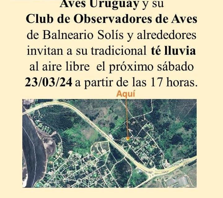 Actividad de Aves Uruguay y su Club de Observadores de Aves