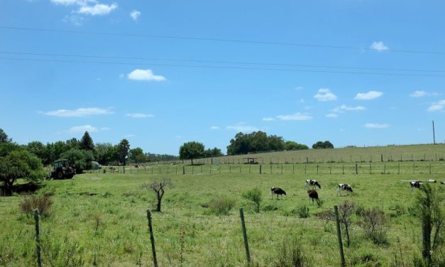 ¿Cuáles fueron los departamentos con más superficie arrendada en el primer semestre del Año 2023?