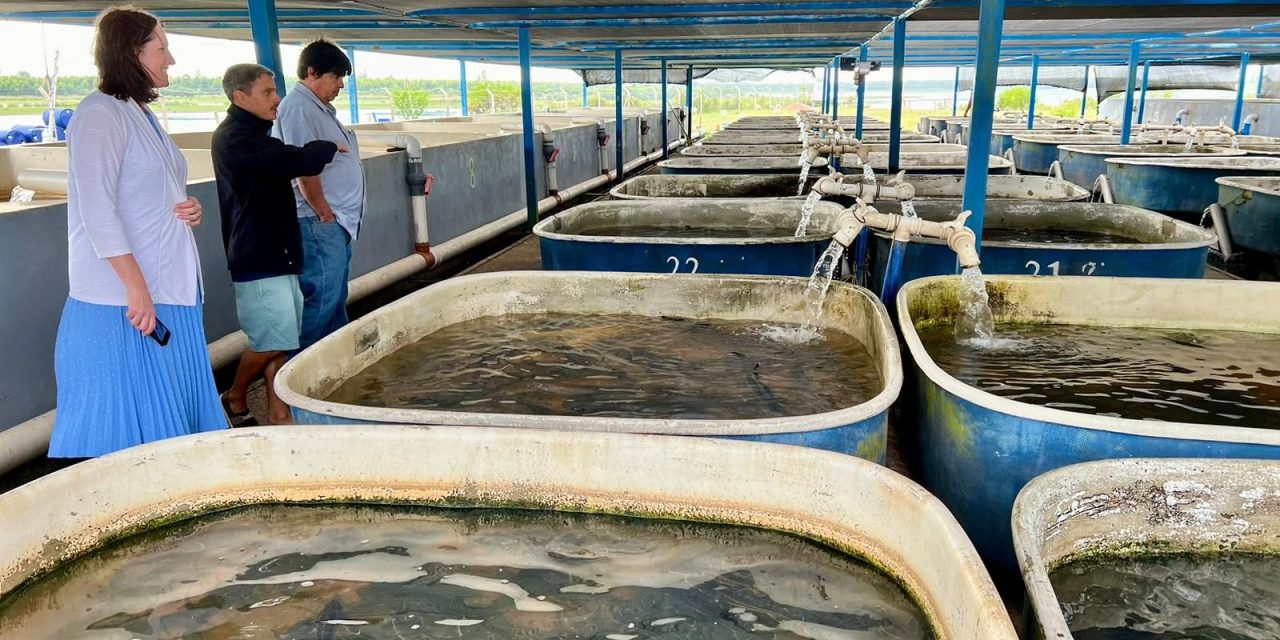 ¿Con qué se asombró la Embajadora de Estados Unidos en Uruguay?