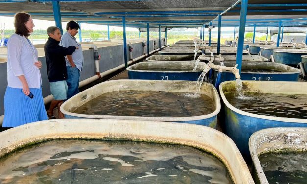 ¿Con qué se asombró la Embajadora de Estados Unidos en Uruguay?