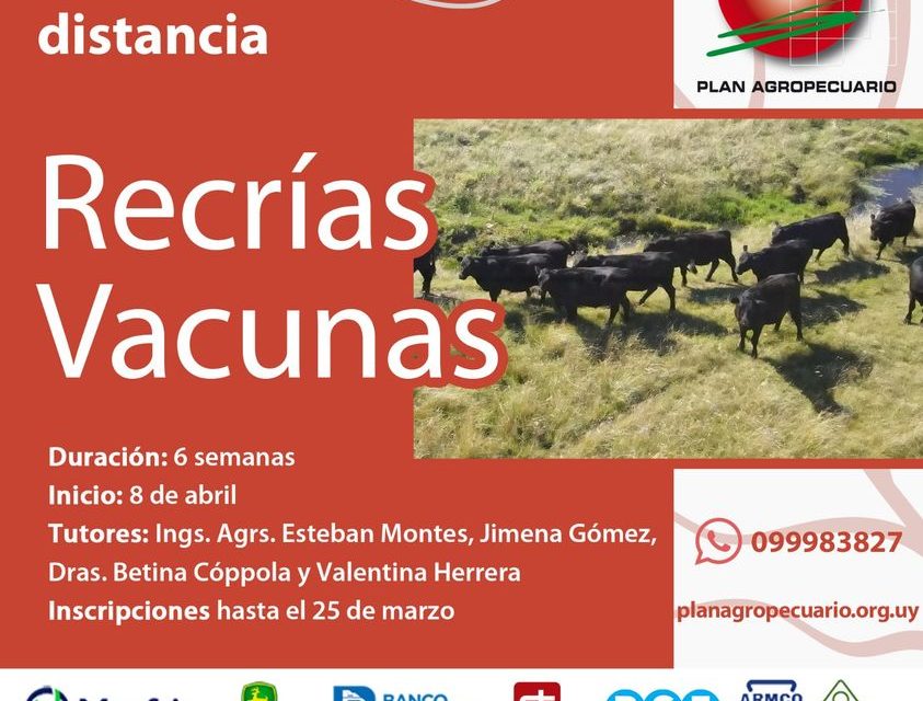 Curso a distancia «Recrías vacunas»