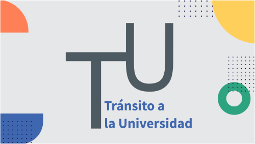 Tránsito a la Universidad