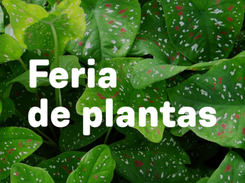 feria de plantas