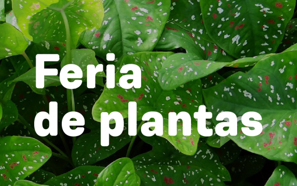 Feria de plantas del Jardín Botánico
