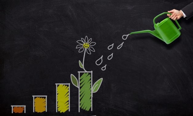 ¿Qué opinan las empresas extranjeras sobre el clima de negocios en Uruguay?