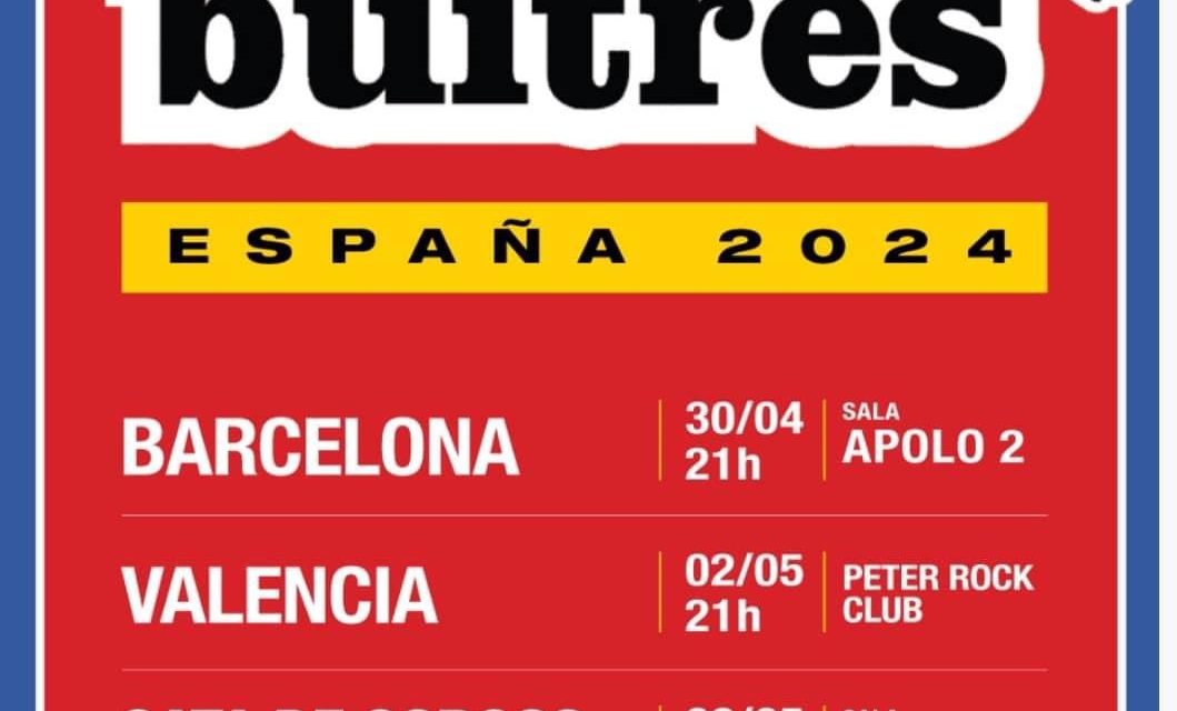 Buitres en España: ¿cuándo y dónde se presentan?