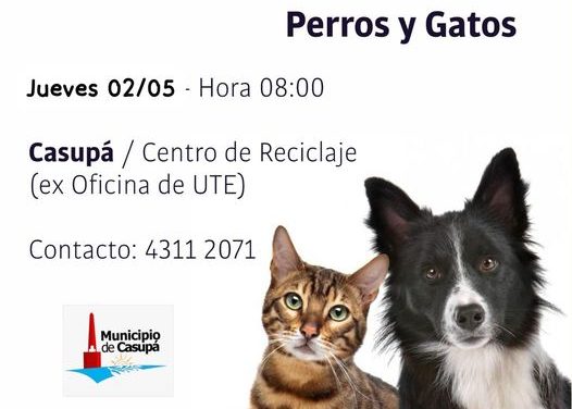 Castraciones Gratuitas en Casupá