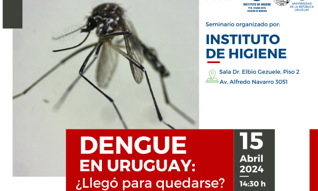 Dengue en Uruguay: ¿Llegó para quedarse?